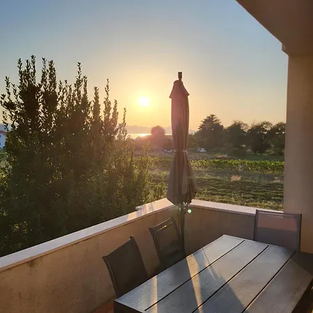 Zelja *